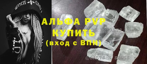 стаф Покачи