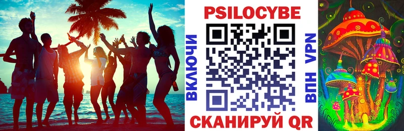 Купить  Семилуки  Псилоцибиновые грибы GOLDEN TEACHER 
